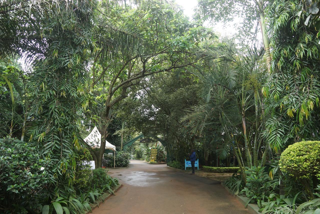Country Lake Resort Garuga Entebbe Eksteriør billede
